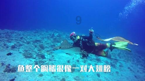 重庆传来好消息,正式开启城乡居民基本养老金“免申即享”新模式