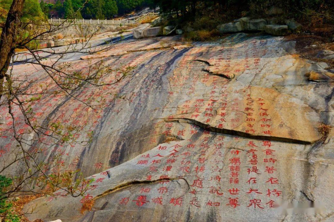 暖心！感动！巡警秒变“产科医生”母女平安