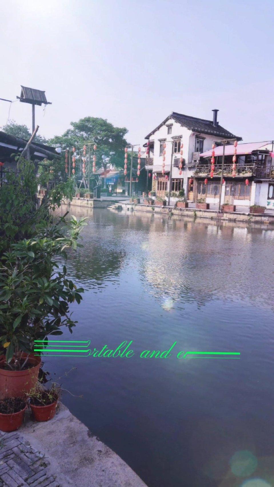 什么蔬菜里有嘌呤游戏画面
